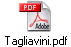 Tagliavini.pdf