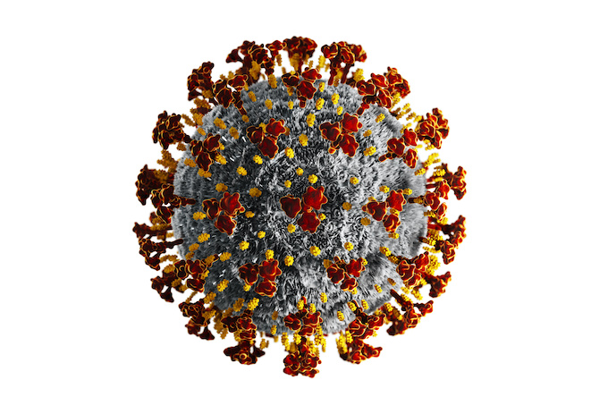 coronavirus_regole_fino al 15 gennaio.jpeg